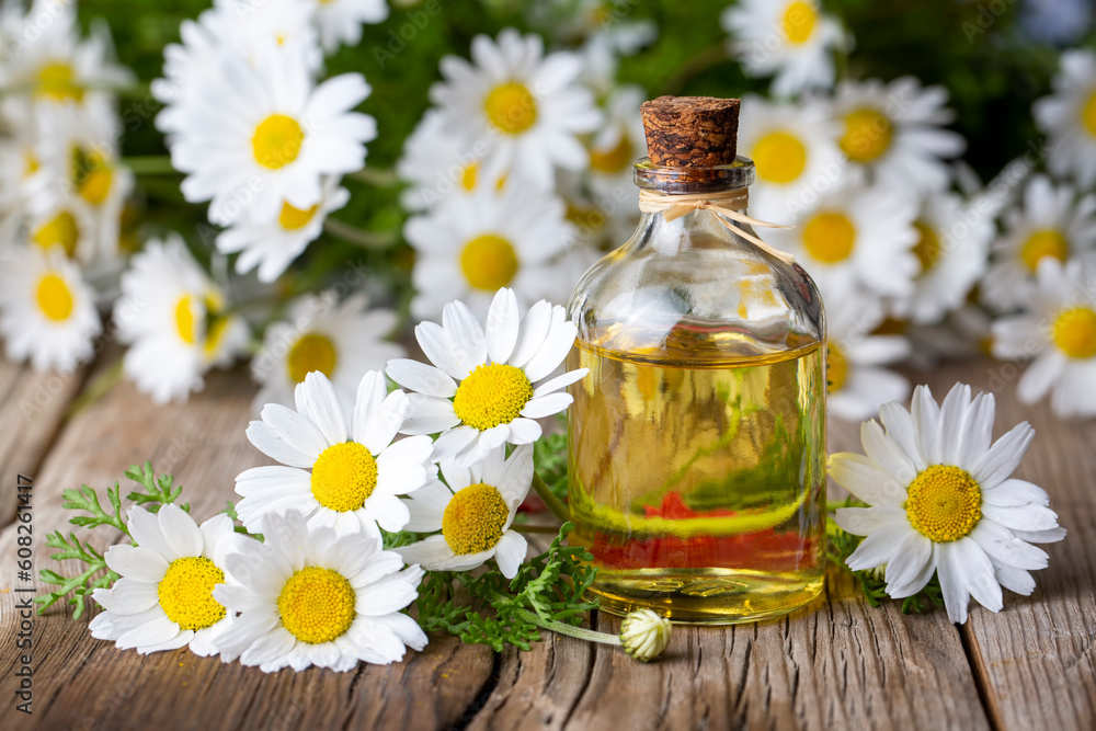 White daisy oil on the wooden background White daisy oil on the wooden background