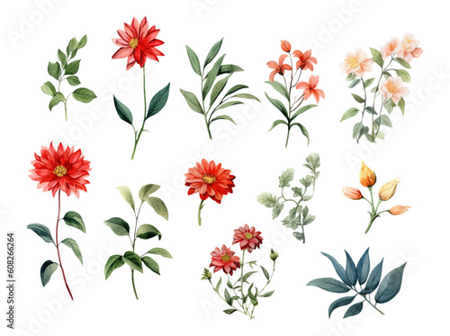 Watercolor flowers and leaves collection garden flowers. Wedding botanic floral vector illustration.
