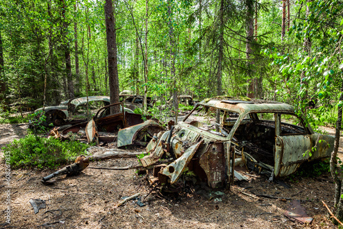 Schrottautos in einem Wald