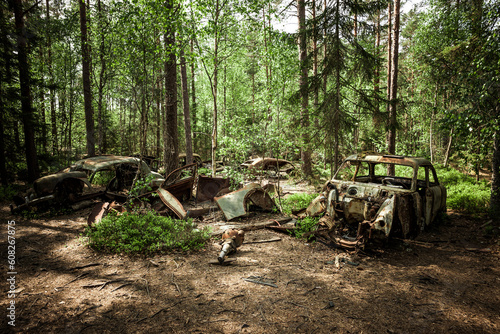 Schrottplatz ein einem Wald