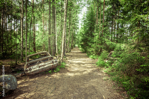 Schrottplatz in einem Wald