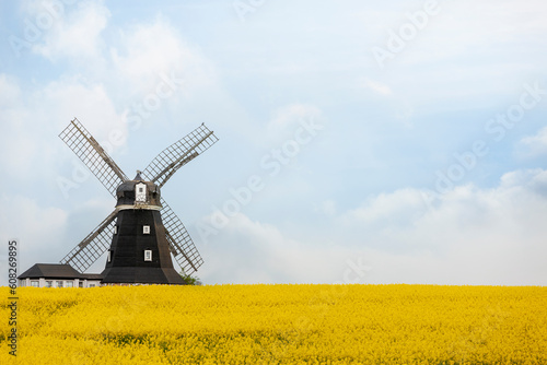 Windmühle vor einem  Rapsfeld