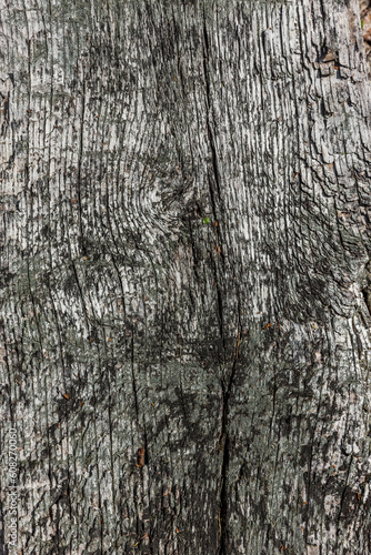 Verwitterter Holzhintergrund in Grau