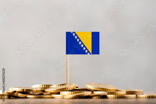 The Flag of Bosnia and Herzegovina with Coins.
