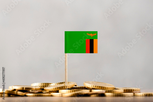 The Flag of Zambia with Coins.