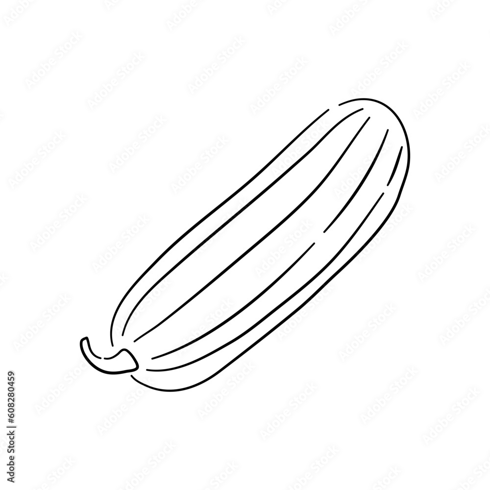 Hand-drawn black sketch of a cucumber. Doodle-style icon. Vector illustration. Hand-drawn black sketch of a cucumber. Doodle-style icon. Vector illustration.