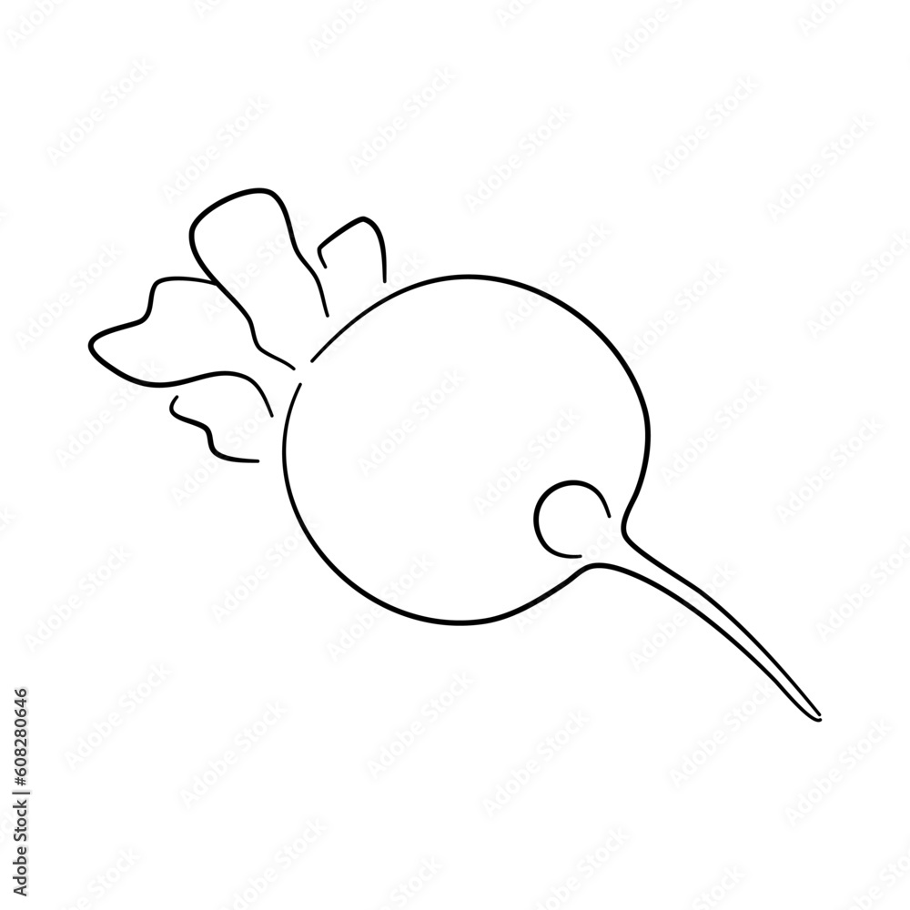 Vector illustration of a radish doodle icon with a hand-drawn black sketch. Vector illustration of a radish doodle icon with a hand-drawn black sketch.