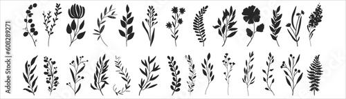 Minimal feminine botanical floral branch in silhouette style. Hand drawn wedding herb, minimalistic flowers with elegant leaves. Botanical rustic trendy greenery vector