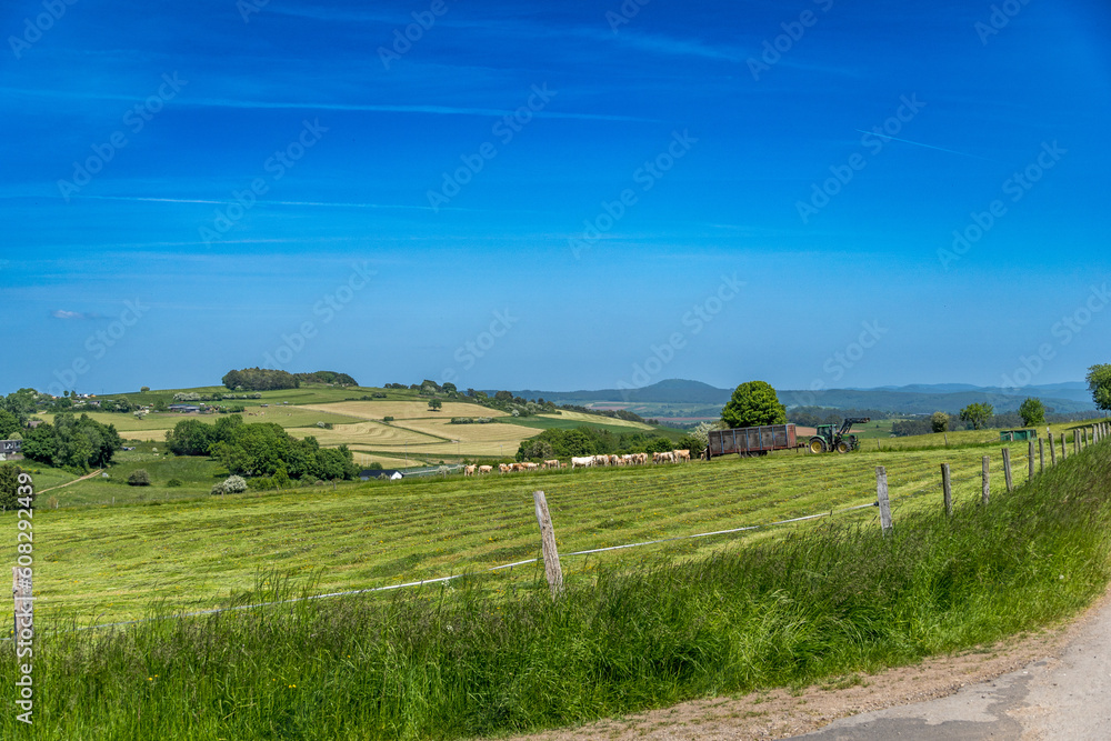 Fototapeta premium Eifelspur - Toskana in der Eifel
