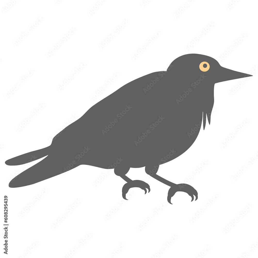 Fototapeta premium crow