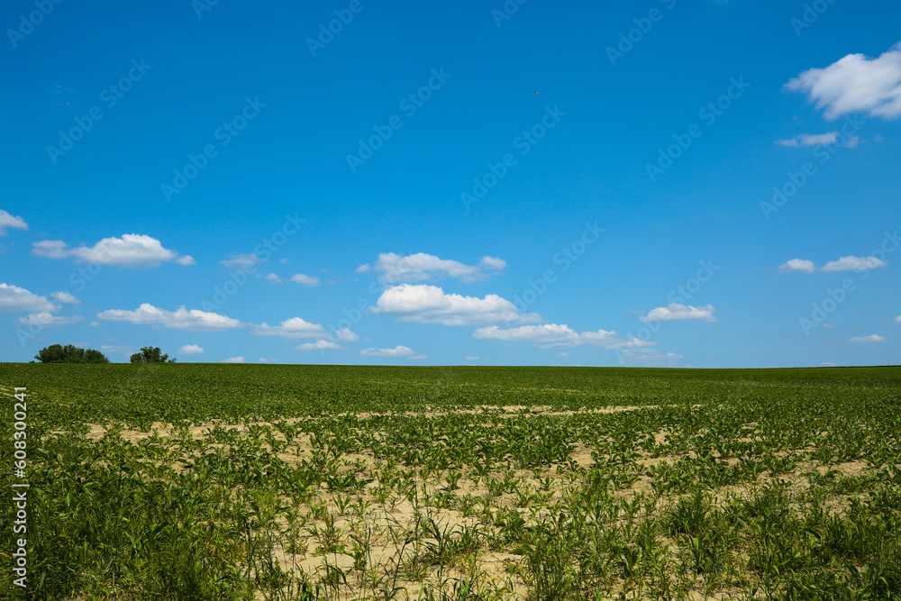 Fields with blue sky, clouds and trees in the Dachau hinterland, Bavaria, near Munich