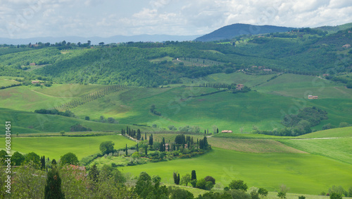 Beautiful scenic landscape with trees and mountains in Tuscany, Italy