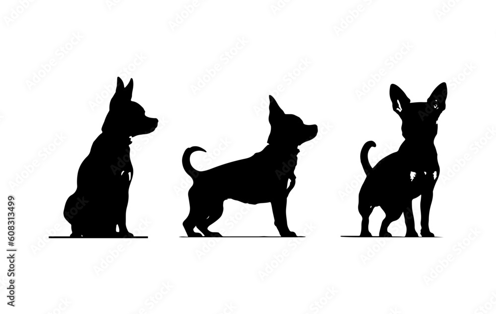 A set of chihuahua dog Silhouette vector