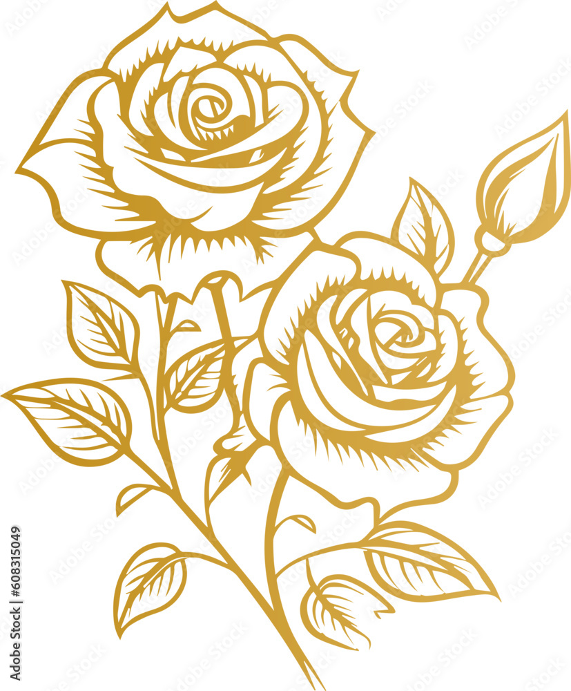 Hand drawn roses. Sketch rose flowers with buds, leaves and stems