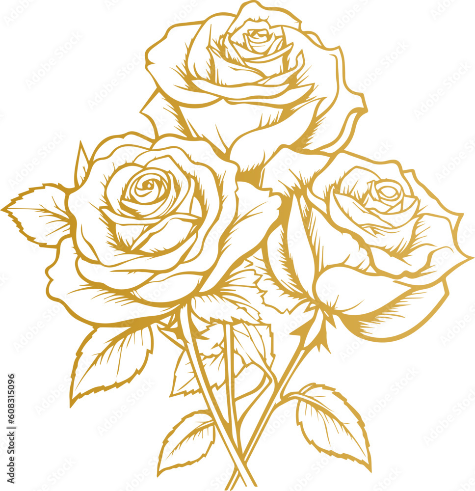 Hand drawn roses. Sketch rose flowers with buds, leaves and stems . golden vintage etching vector botanical isolated on transparent. Illustration of rose petal, sketch botany floral plant, PNG and SVG