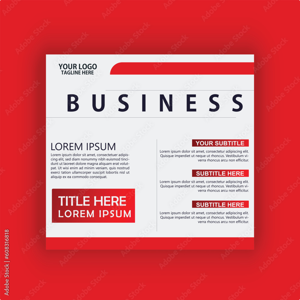 Professional business flyer logo Professional business flyer logo