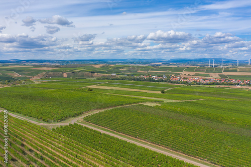 Bird's-eye view of the vineyards near Flonheim - Germany in Rheinhessen