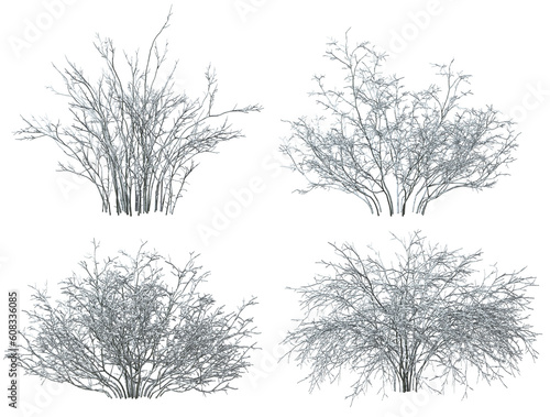 Obraz na plátně Snowy frigid on shrubs bush isolated transparent backgrounds 3d render png