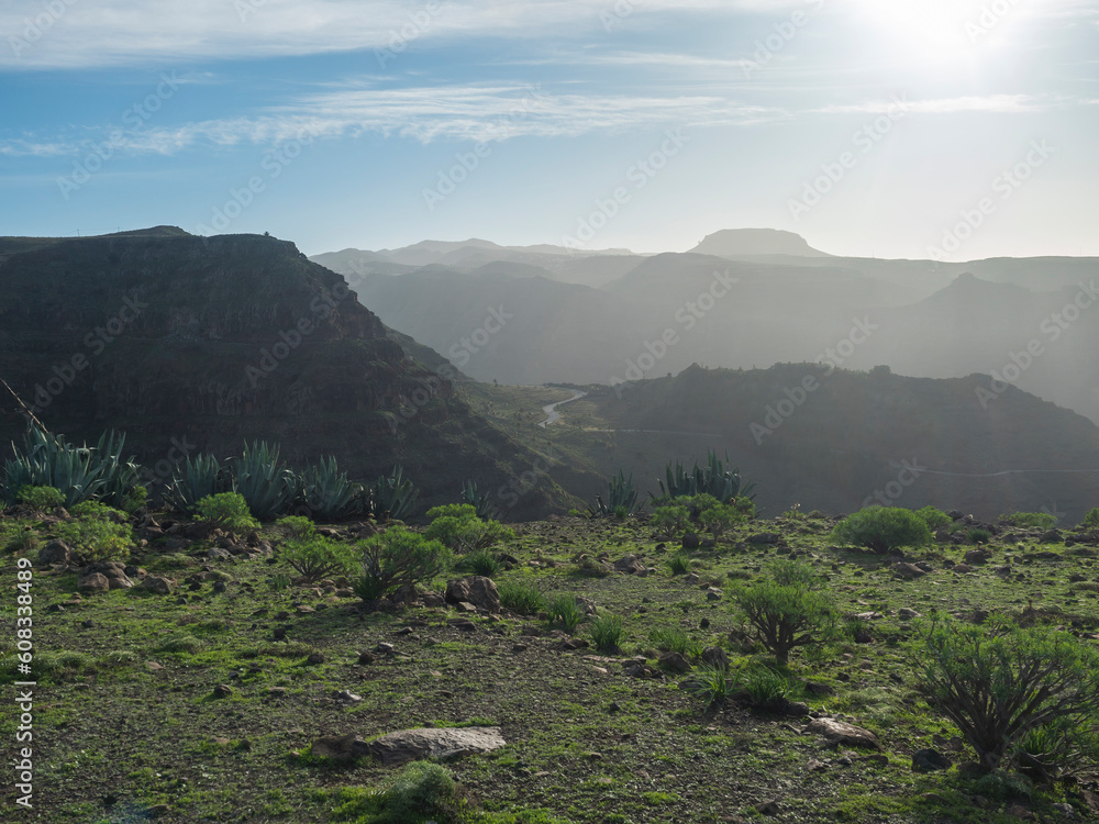 View from green plateau on top of La Merica mountain with agave cacti, valley and hills in fog haze. Camino La Merica hiking trail. Valle Gran Rey, La Gomera, Canary Islands. Backlight, copy space. View from green plateau on top of La Merica mountain with agave cacti, valley and hills in fog haze. Camino La Merica hiking trail. Valle Gran Rey, La Gomera, Canary Islands. Backlight, copy space.