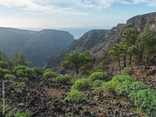 View of green valley with pine trees, cacti and sharp cliffs of La Merica mountain. Seen from Camino La Merica hiking trail. Arure, Valle Gran Rey , La Gomera, Canary Islands, Spain. photo