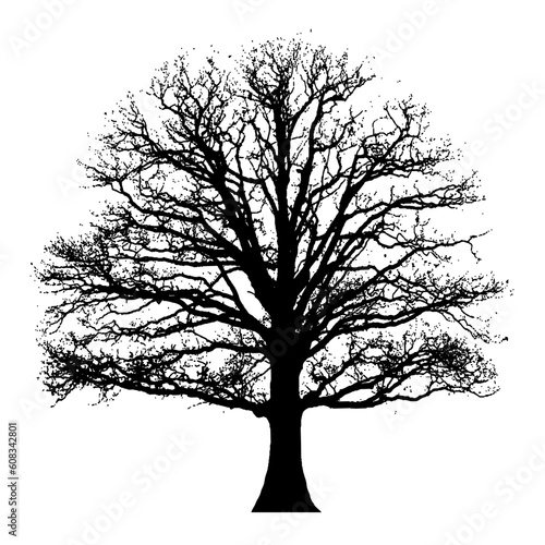 Tree silhouette isolated on white background. Vector illustration for your design.