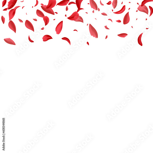 Delicate Petal Beauty Vector White Background.
