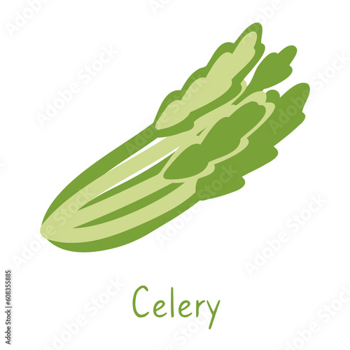Illustration of celery on a white background with the inscription. Simple cartoon design