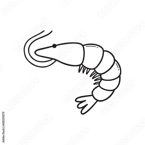 Shrimp doodle set.  Seafood in sketch style. Hand drawn vector illustration isolated on white background