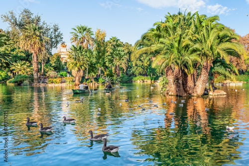 Barcelona, Spain - November 26, 2021: Couples in love paddle among waterfowl on a lake in Parc de la Ciutadella in Barcelona. Palm trees and the sky are reflected in the pond water in an urban oasis photo