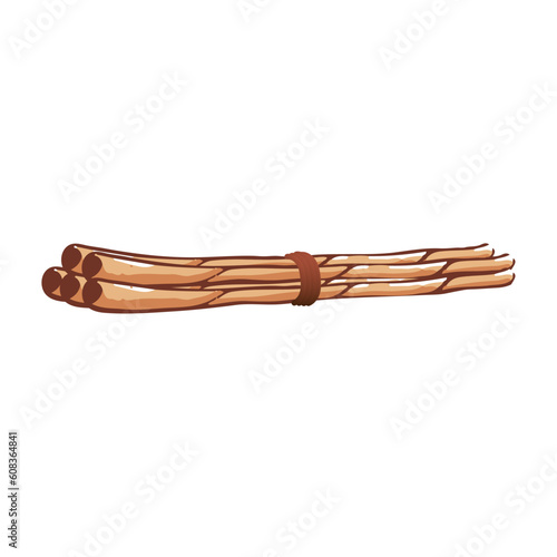 Bundle of Sticks