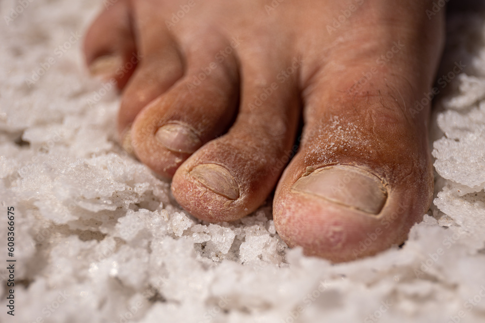 Fototapeta premium foot in pink salt crystals closeup
