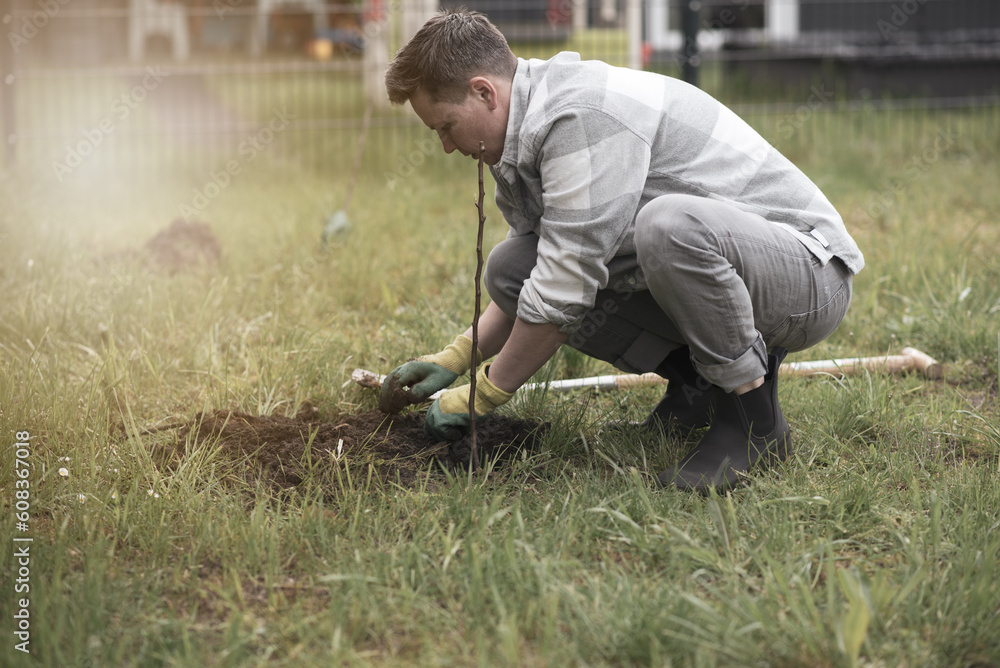 a person plants trees in the garden. Ecology concept a person plants trees in the garden. Ecology concept