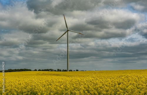 windmill on a field of blooming rapeseed, stopped propeller