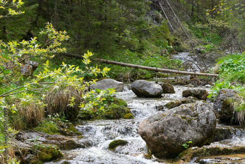 Strumyk w dolinie Strążyska, woda  © Krystian