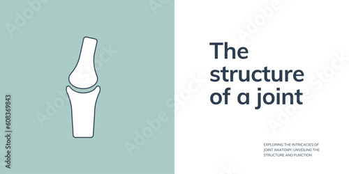 The Structure of a Joint Banner on Green and White Background. Stylish Banner with Text and Icon for Healthcare and Medical