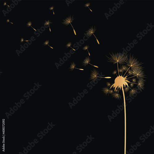 Dandelion flowers with seeds that fly away in the wind.