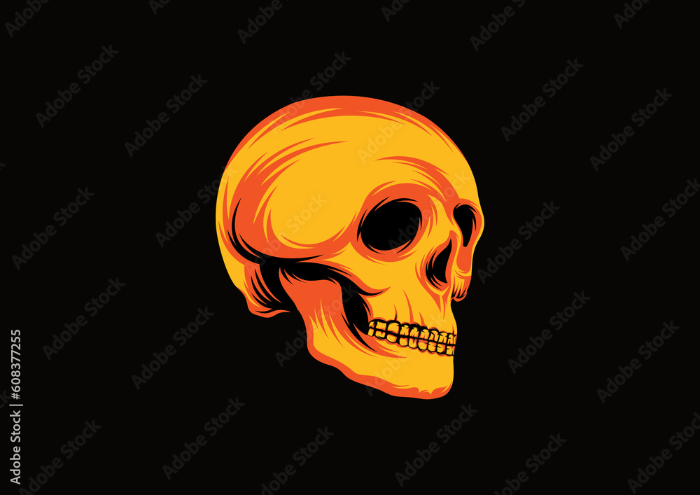 Fototapeta premium human skull