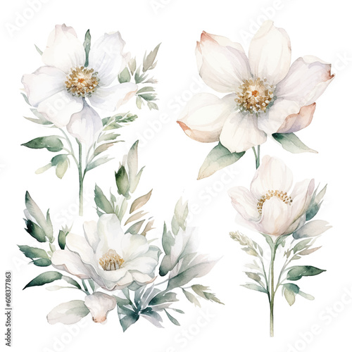 Set of white bloom floral watecolor. flowers and leaves. Floral poster  invitation floral. Vector arrangements for greeting card or invitation design