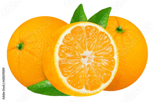 Oranges on an isolated white background.