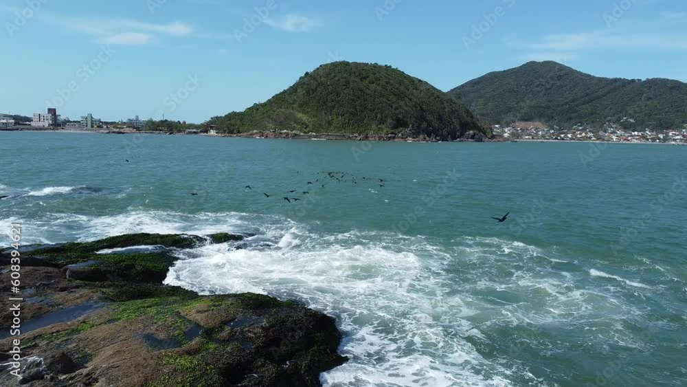 Birds flying over a rock in the water Birds flying over a rock in the water