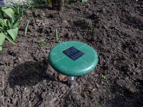 Ultrasonic, solar-powered mole repellent or repeller device in the soil in a vegetable bed in the garden photo