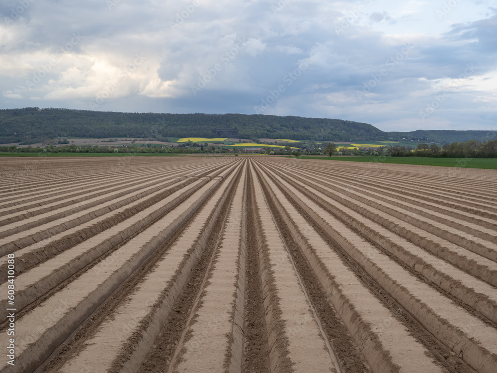 The field at spring with furrows The field at spring with furrows