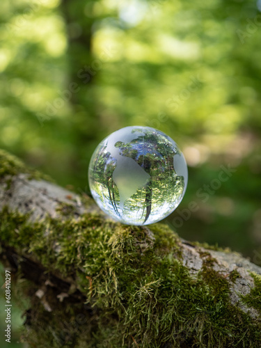 glass earth globe in forest