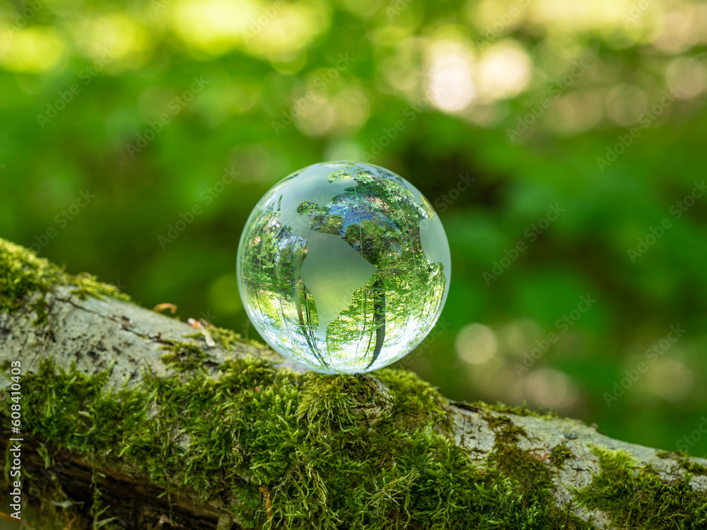 glass earth globe in the forest glass earth globe in the forest