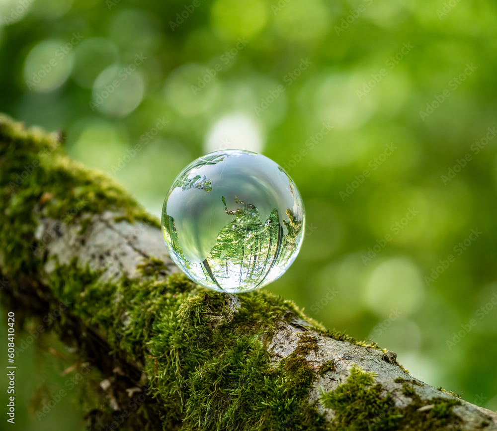 glass earth globe in the forest