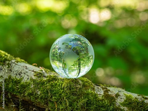 glass earth globe in the forest