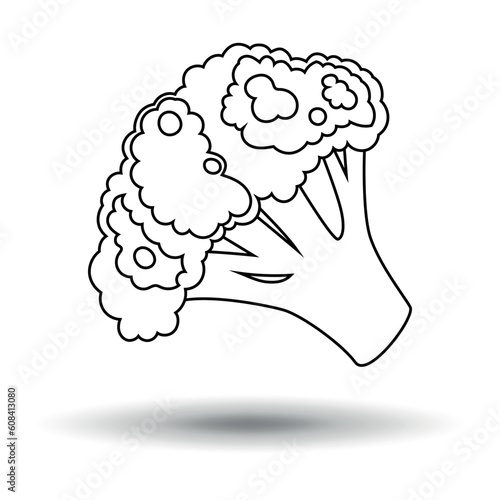 Broccoli icon. Thin line. Sketch. Vector on white background.