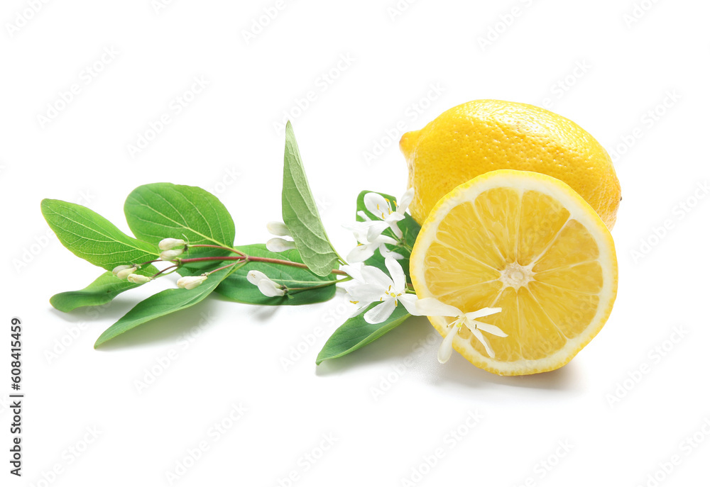 Delicious ripe lemons and flowering branches on white background Delicious ripe lemons and flowering branches on white background