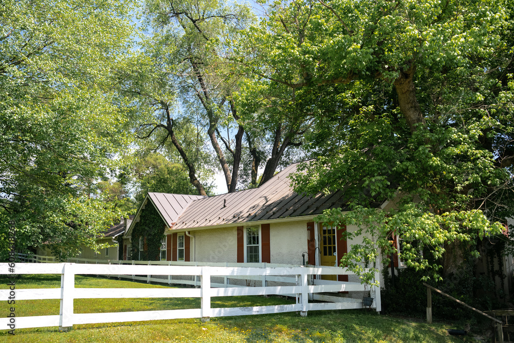 white one-story house immersed in greenery with large green trees. white one-story house immersed in greenery with large green trees.
