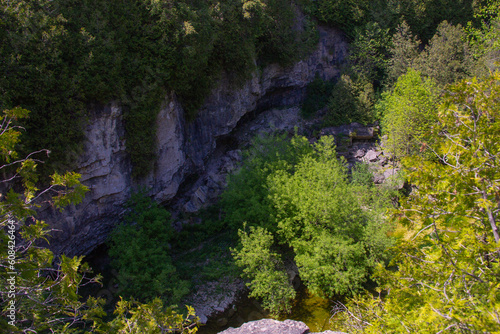 Rockface of the Elora Gorge